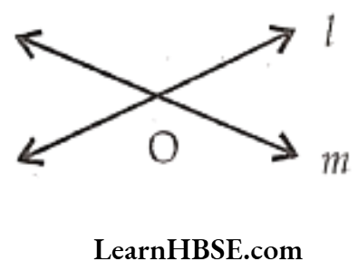 Class 6 Maths Chapter 4 Basic Geometrical Ideas Short Answer Question 3.1