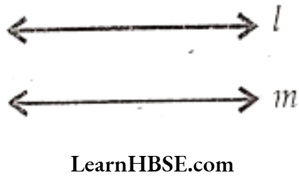 Class 6 Maths Chapter 4 Basic Geometrical Ideas Short Answer Question 3.2