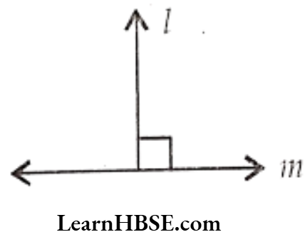 Class 6 Maths Chapter 4 Basic Geometrical Ideas Short Answer Question 3.3