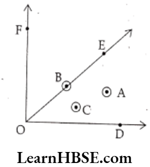 Class 6 Maths Chapter 4 Basic Geometrical Ideas Short Answer Question 8