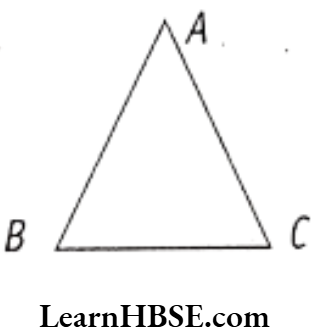 Class 6 Maths Chapter 4 Basic Geometrical Ideas Triangle