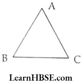Class 6 Maths Chapter 4 Basic Geometrical Ideas Very Short Answer Question 4.3