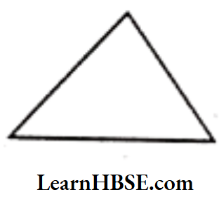 Class 6 Maths Chapter 4 Basic Geometrical Ideas Very Short Answer Question 7