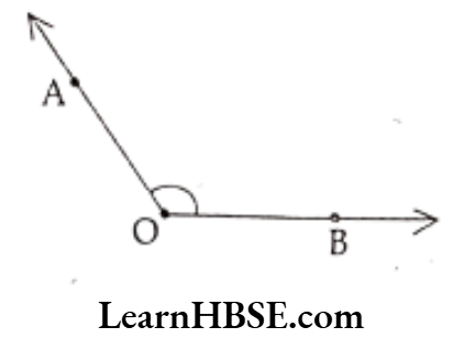 Class 6 Maths Chapter 5 Understanding Elementary shapes Choose the correct answer Question 3