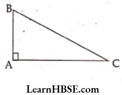 Class 6 Maths Chapter 5 Understanding Elementary shapes Choose the correct answer Question 5