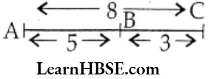 Class 6 Maths Chapter 5 Understanding Elementary shapes Exercise 5.1 Question 4