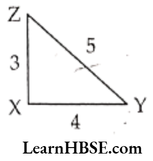Class 6 Maths Chapter 5 Understanding Elementary shapes Exercise 5.1 Question 7.3