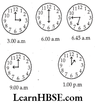Class 6 Maths Chapter 5 Understanding Elementary shapes Exercise 5.1 Question 8
