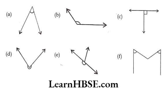 Class 6 Maths Chapter 5 Understanding Elementary shapes Exercise 5.3 Question 2