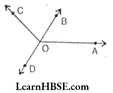 Class 6 Maths Chapter 5 Understanding Elementary shapes Exercise 5.4 Question 11