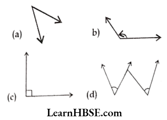 Class 6 Maths Chapter 5 Understanding Elementary shapes Exercise 5.4 Question 4