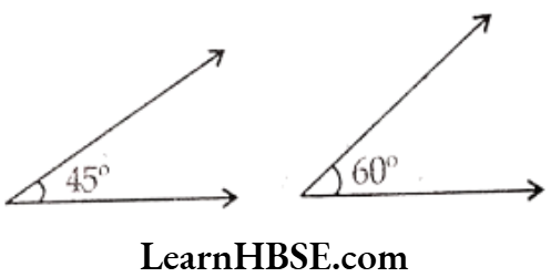 Class 6 Maths Chapter 5 Understanding Elementary shapes Exercise 5.4 Question 6