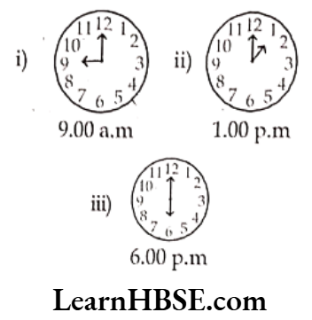 Class 6 Maths Chapter 5 Understanding Elementary shapes Exercise 5.4 Question 9
