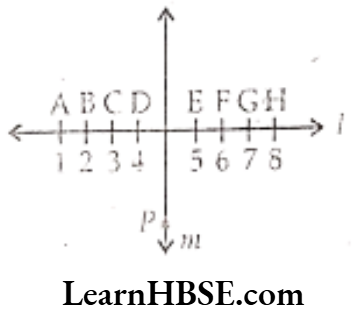 Class 6 Maths Chapter 5 Understanding Elementary shapes Exercise 5.5 Question 4
