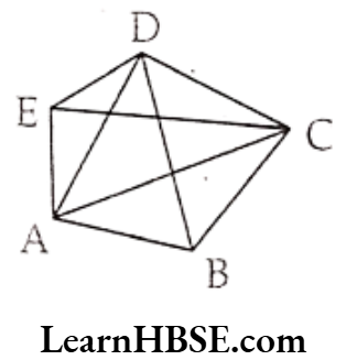 Class 6 Maths Chapter 5 Understanding Elementary shapes Exercise 5.8 Question 5