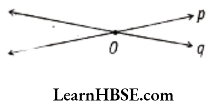 Class 6 Maths Chapter 5 Understanding Elementary shapes Intersecting Lines