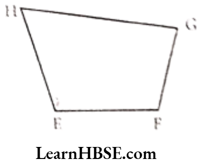 Class 6 Maths Chapter 5 Understanding Elementary shapes Long Answer Question 11