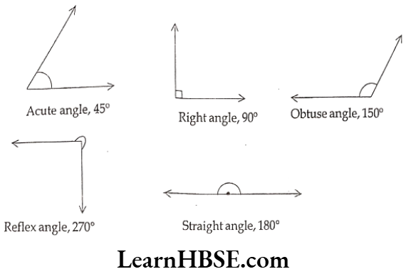 Class 6 Maths Chapter 5 Understanding Elementary shapes Long Answer Question 3.1