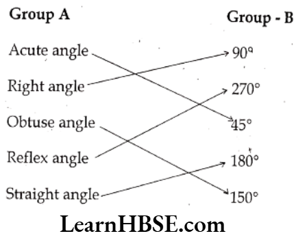 Class 6 Maths Chapter 5 Understanding Elementary shapes Long Answer Question 3