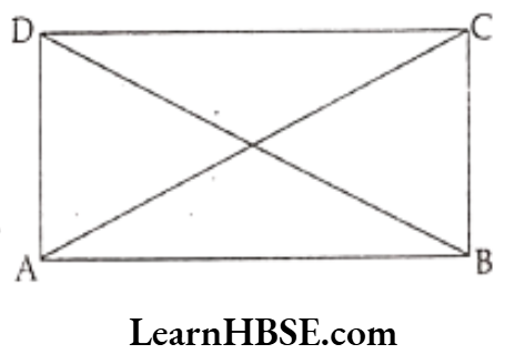 Class 6 Maths Chapter 5 Understanding Elementary shapes Long Answer Question 4