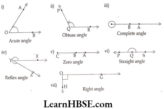 Class 6 Maths Chapter 5 Understanding Elementary shapes Long Answer Question 5
