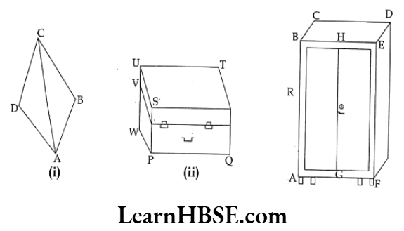 Class 6 Maths Chapter 5 Understanding Elementary shapes Long Answer Question 8