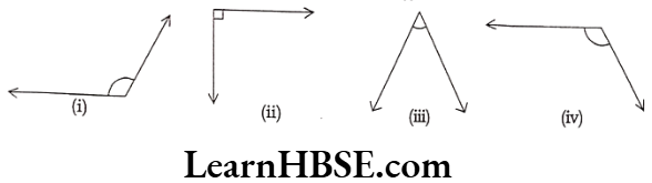 Class 6 Maths Chapter 5 Understanding Elementary shapes Short Answer Question 1