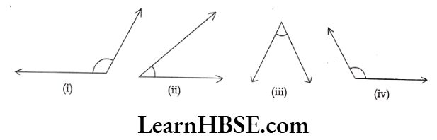 Class 6 Maths Chapter 5 Understanding Elementary shapes Short Answer Question 3