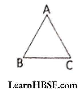 Class 6 Maths Chapter 5 Understanding Elementary shapes Triangle