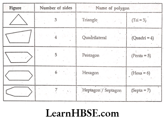 Class 6 Maths Chapter 5 Understanding Elementary shapes Types of Polygons