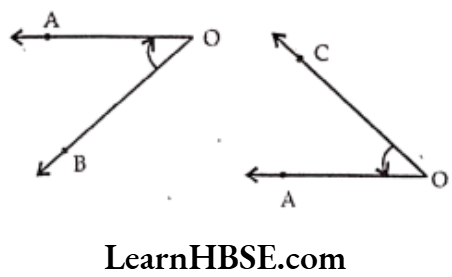 Class 6 Maths Chapter 5 Understanding Elementary shapes Very Short Answer Question 1