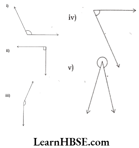 Class 6 Maths Chapter 5 Understanding Elementary shapes Very Short Answer Question 2