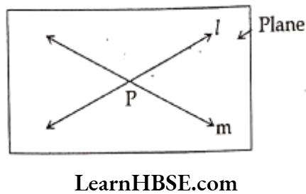 Class 6 Maths Chapter 5 Understanding Elementary shapes Very Short Answer Question 4