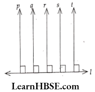 Class 6 Maths Chapter 5 Understanding Elementary shapes Very Short Answer Question 6