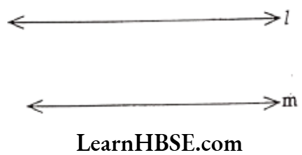 Class 6 Maths Chapter 5 Understanding Elementary shapes Very Short Answer Question 8