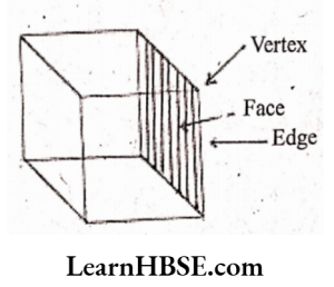 Faces, Edges and Vertices