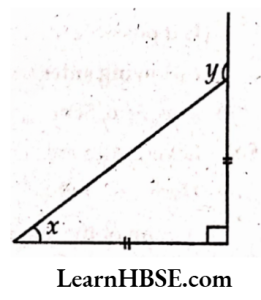 Find angles x and yin each figure 2