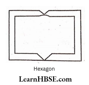 Hexagon