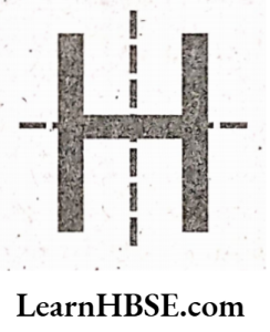 Identify which of the english alphabet have point symmetry in the following