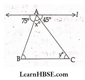 In the adjacent figure find x,y