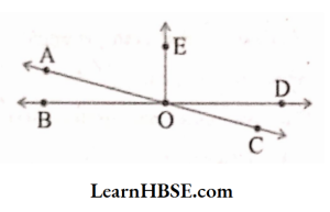 In the adjoining figure, name the pair angles