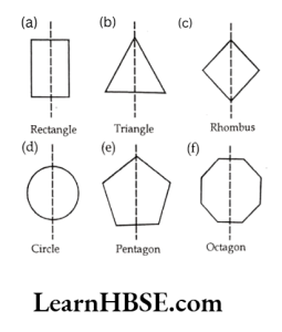 In the following figures, the mirror line (i.e. the line of symmetry) is given as a 1