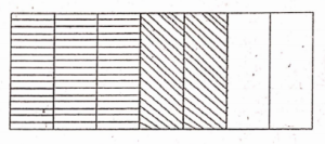 What does the shaded part of the following strip represent