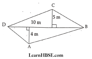 What is the area of quadrilateral