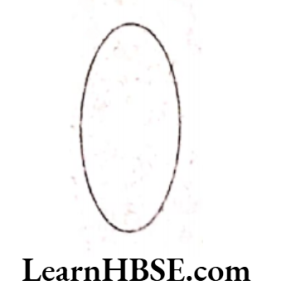 What is the shape of cross section 4