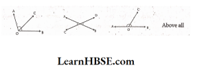 Which figure shows linear pair