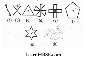 Which of the following figures have rotational symmetry of order more than1