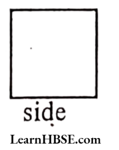 shape of a square