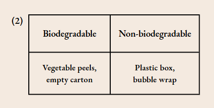Biodegradable And Non-Biodegradable Material
