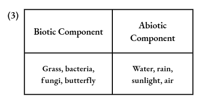 Components Of An Ecosystems